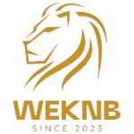 weknb, moteur de recherche adulte